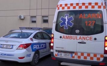E tmerrshme! Vajza vr*et nënën e saj me thikë