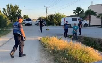 17-vjeçari godet me thikë dy herë 40-vjeçarin pas një debati