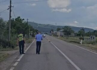 E rëndë në aksin Korçë-Ersekë, makina përplas për vdekje një fëmijë 3 vjeç