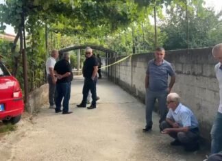 Krim i rëndë në Roskovec/ 35-vjeçari vret ish-vjehrrin me armë gjahu, plagos ish-vjehrrën dhe largohet me ish-bashkëshorten