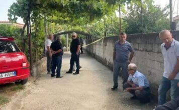 Krim i rëndë në Roskovec/ 35-vjeçari vret ish-vjehrrin me armë gjahu, plagos ish-vjehrrën dhe largohet me ish-bashkëshorten