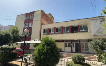E trishtë! humbin jetën gjatë transportit për në spital nëna dhe foshnja e saj 7 muajshe